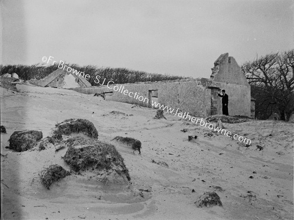 SAND AND DAFFODILS AT HORN HEAD HOUSE